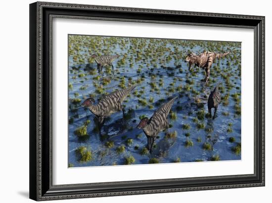 Tyrannosaurus Rex Chasing a Herd of Parasaurolophus Dinosaurs-null-Framed Art Print