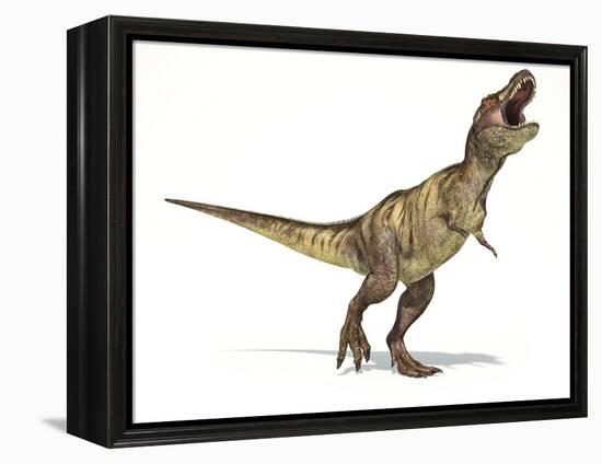 Tyrannosaurus Rex Dinosaur, Artwork-null-Framed Premier Image Canvas