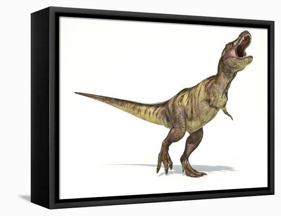 Tyrannosaurus Rex Dinosaur, Artwork-null-Framed Premier Image Canvas