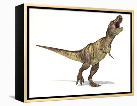 Tyrannosaurus Rex Dinosaur, Artwork-null-Framed Premier Image Canvas