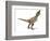 Tyrannosaurus Rex Dinosaur, Artwork-null-Framed Photographic Print