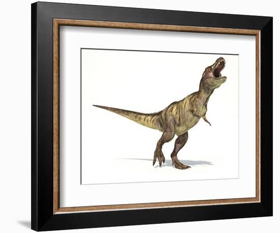 Tyrannosaurus Rex Dinosaur, Artwork-null-Framed Photographic Print