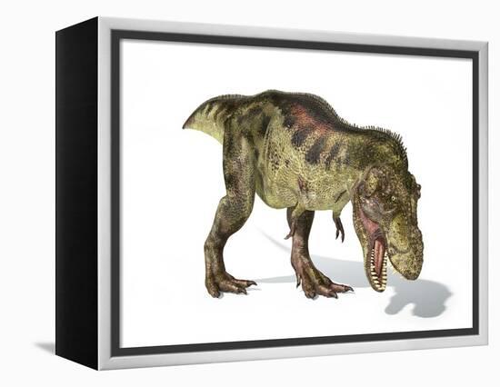 Tyrannosaurus Rex Dinosaur, Artwork-null-Framed Premier Image Canvas