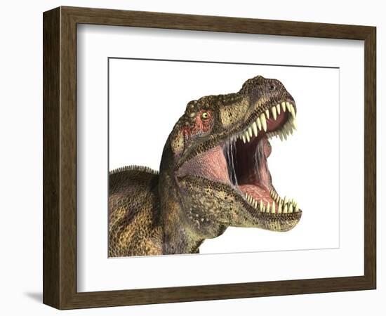 Tyrannosaurus Rex Dinosaur, Artwork-null-Framed Photographic Print