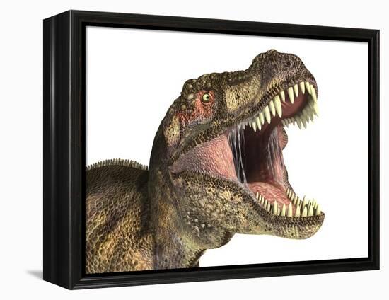 Tyrannosaurus Rex Dinosaur, Artwork-null-Framed Premier Image Canvas