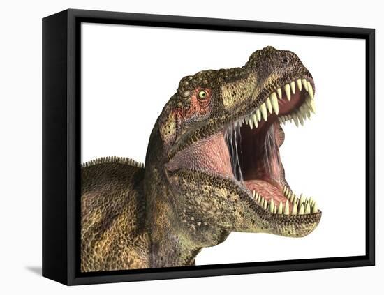 Tyrannosaurus Rex Dinosaur, Artwork-null-Framed Premier Image Canvas