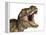 Tyrannosaurus Rex Dinosaur, Artwork-null-Framed Premier Image Canvas