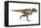 Tyrannosaurus Rex Dinosaur, Artwork-null-Framed Premier Image Canvas