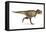 Tyrannosaurus Rex Dinosaur, Artwork-null-Framed Premier Image Canvas