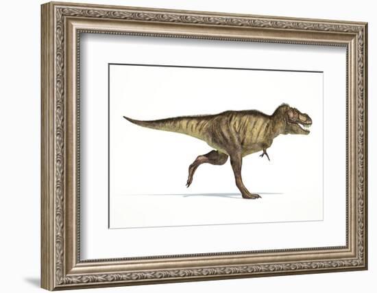 Tyrannosaurus Rex Dinosaur, Artwork-null-Framed Photographic Print