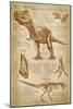 Tyrannosaurus Rex Dinosaur - DiVinci Style-Lantern Press-Mounted Art Print