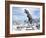 Tyrannosaurus Rex Dinosaur in a Snowy Landscape-null-Framed Art Print