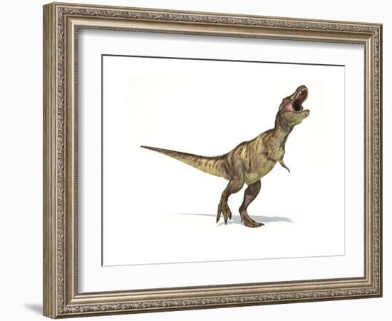 Tyrannosaurus Rex Dinosaur on White Background-null-Framed Premium Giclee Print