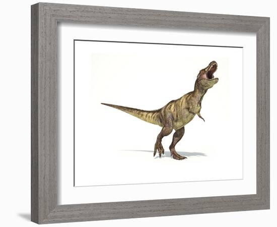 Tyrannosaurus Rex Dinosaur on White Background-null-Framed Premium Giclee Print