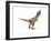 Tyrannosaurus Rex Dinosaur on White Background-null-Framed Premium Giclee Print