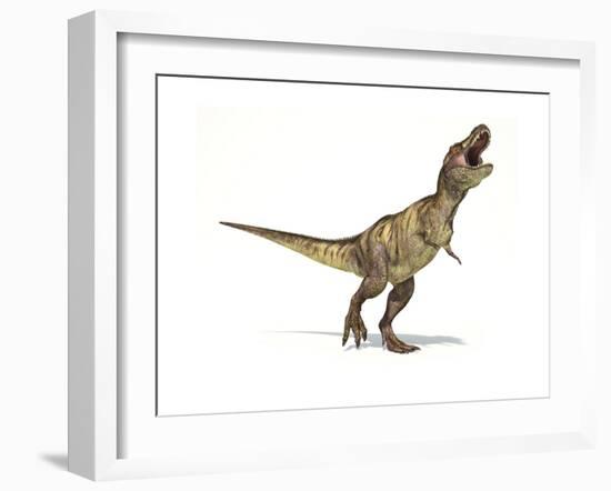 Tyrannosaurus Rex Dinosaur on White Background-null-Framed Premium Giclee Print