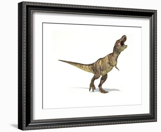 Tyrannosaurus Rex Dinosaur on White Background-null-Framed Premium Giclee Print