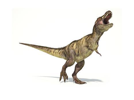 Premium Photo  A t - rex dinosaur running in a white background