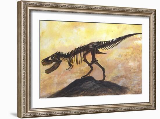 Tyrannosaurus Rex Dinosaur Skeleton-Stocktrek Images-Framed Art Print