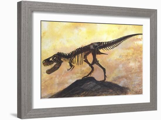 Tyrannosaurus Rex Dinosaur Skeleton-Stocktrek Images-Framed Art Print