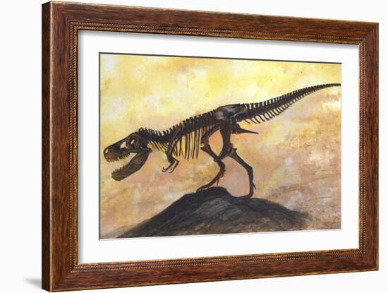 Tyrannosaurus Rex Dinosaur Skeleton-Stocktrek Images-Framed Art Print