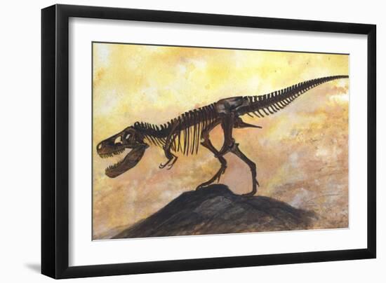 Tyrannosaurus Rex Dinosaur Skeleton-Stocktrek Images-Framed Art Print