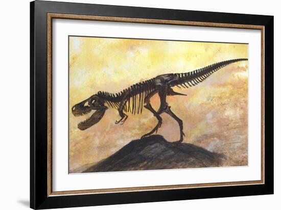 Tyrannosaurus Rex Dinosaur Skeleton-Stocktrek Images-Framed Art Print