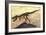 Tyrannosaurus Rex Dinosaur Skeleton-Stocktrek Images-Framed Art Print