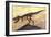 Tyrannosaurus Rex Dinosaur Skeleton-Stocktrek Images-Framed Art Print