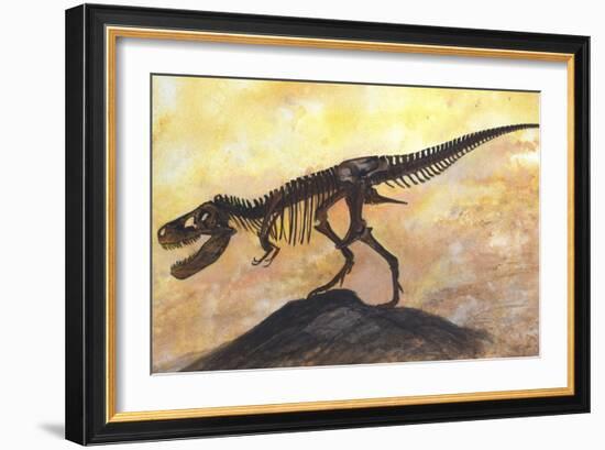 Tyrannosaurus Rex Dinosaur Skeleton-Stocktrek Images-Framed Art Print