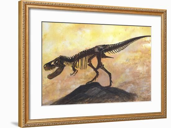 Tyrannosaurus Rex Dinosaur Skeleton-Stocktrek Images-Framed Art Print