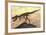 Tyrannosaurus Rex Dinosaur Skeleton-Stocktrek Images-Framed Art Print