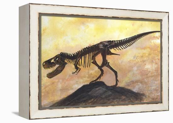 Tyrannosaurus Rex Dinosaur Skeleton-Stocktrek Images-Framed Stretched Canvas