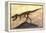 Tyrannosaurus Rex Dinosaur Skeleton-Stocktrek Images-Framed Stretched Canvas