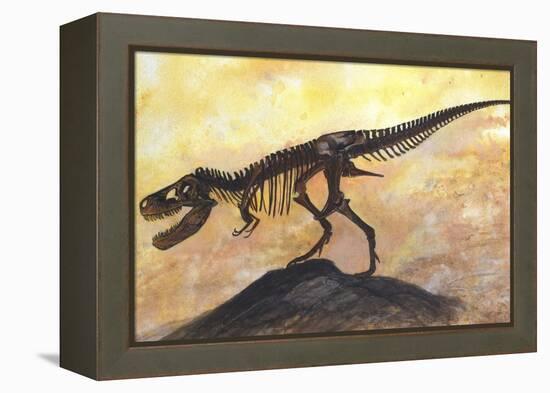 Tyrannosaurus Rex Dinosaur Skeleton-Stocktrek Images-Framed Stretched Canvas