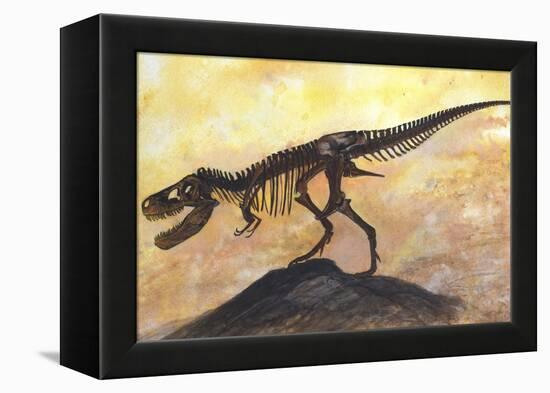 Tyrannosaurus Rex Dinosaur Skeleton-Stocktrek Images-Framed Stretched Canvas