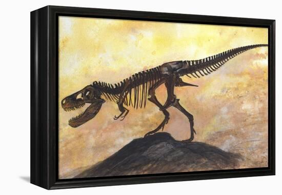 Tyrannosaurus Rex Dinosaur Skeleton-Stocktrek Images-Framed Stretched Canvas