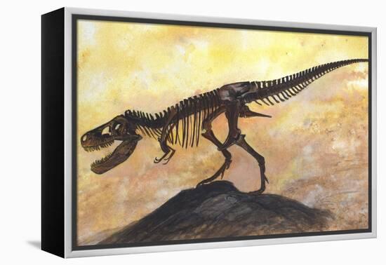 Tyrannosaurus Rex Dinosaur Skeleton-Stocktrek Images-Framed Stretched Canvas