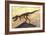 Tyrannosaurus Rex Dinosaur Skeleton-Stocktrek Images-Framed Premium Giclee Print