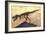 Tyrannosaurus Rex Dinosaur Skeleton-Stocktrek Images-Framed Premium Giclee Print