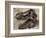 Tyrannosaurus Rex Dinosaur Skull-Stocktrek Images-Framed Premium Giclee Print