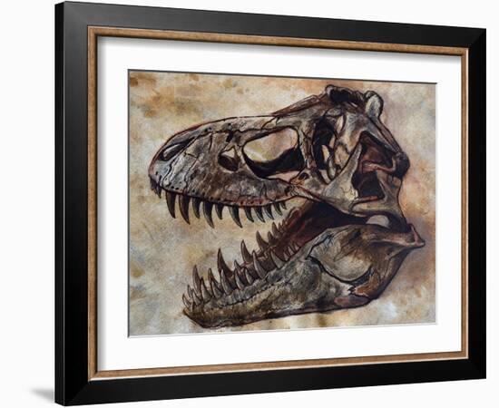 Tyrannosaurus Rex Dinosaur Skull-Stocktrek Images-Framed Art Print