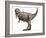 Tyrannosaurus Rex Dinosaur-Roger Harris-Framed Photographic Print