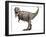 Tyrannosaurus Rex Dinosaur-Roger Harris-Framed Photographic Print