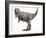 Tyrannosaurus Rex Dinosaur-Roger Harris-Framed Photographic Print