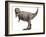 Tyrannosaurus Rex Dinosaur-Roger Harris-Framed Photographic Print