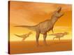 Stretched Canvas Print