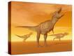 Stretched Canvas Print