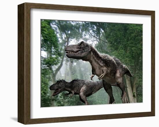 Tyrannosaurus Rex Dinosaurs-Jose Antonio-Framed Photographic Print
