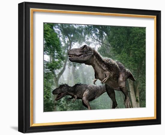 Tyrannosaurus Rex Dinosaurs-Jose Antonio-Framed Photographic Print